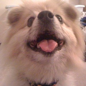 Meet your Posher, Vicki